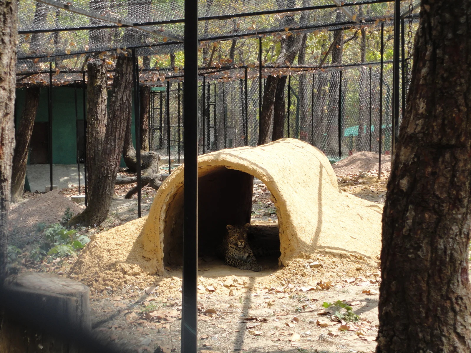 Malsi Deer Park Dehradun family taxi trip